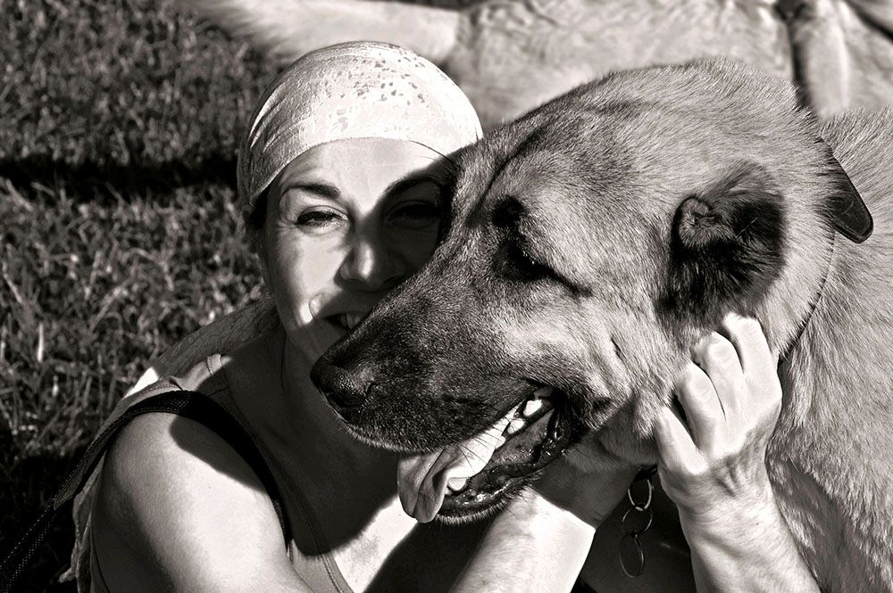 Fotoshooting Hund und Mensch