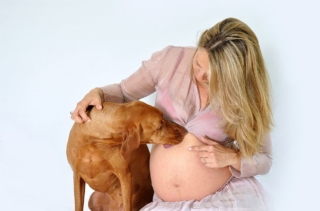 schwangerschaftsbilder-mit-hund-67
