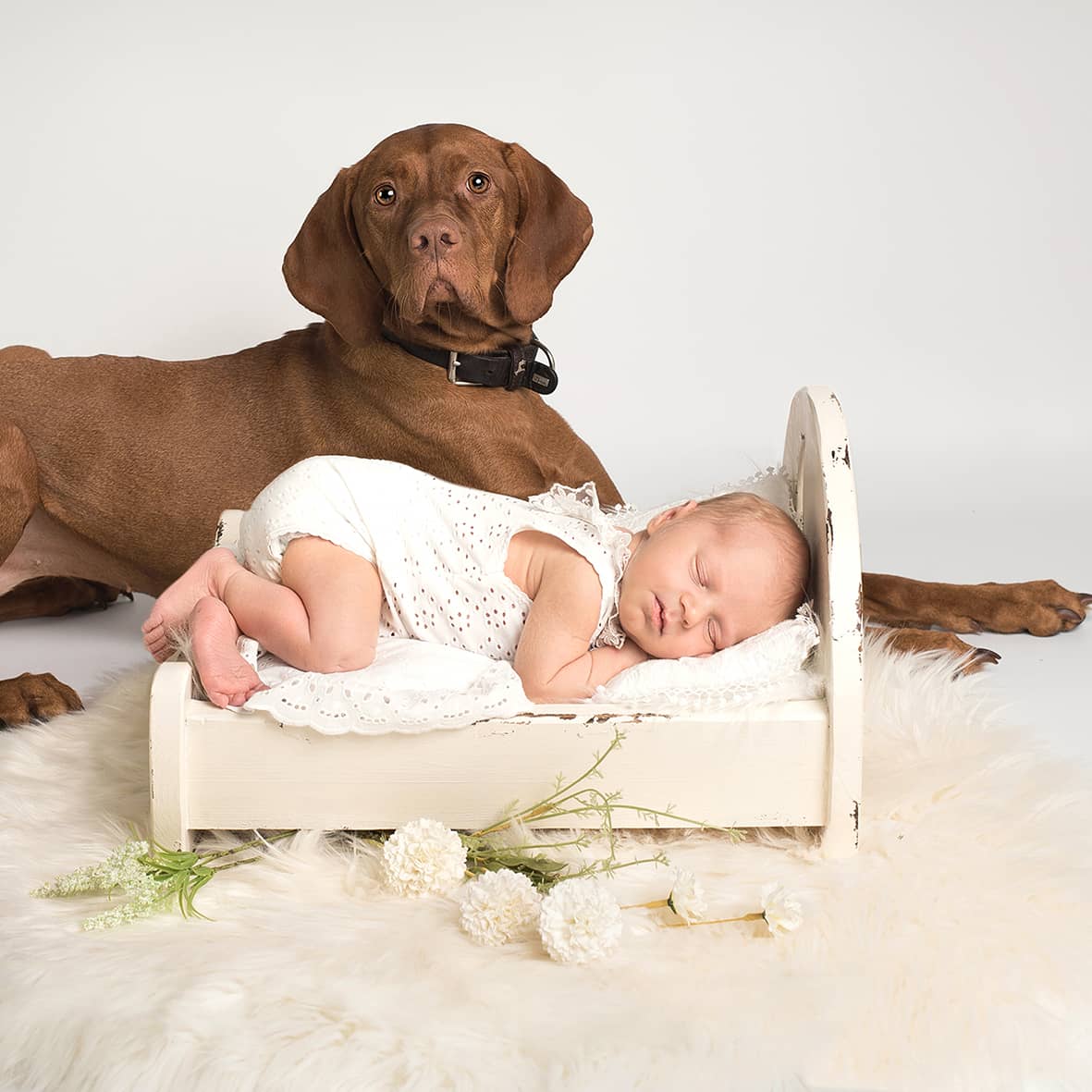 12 Babyshooting-mit-Hund-46