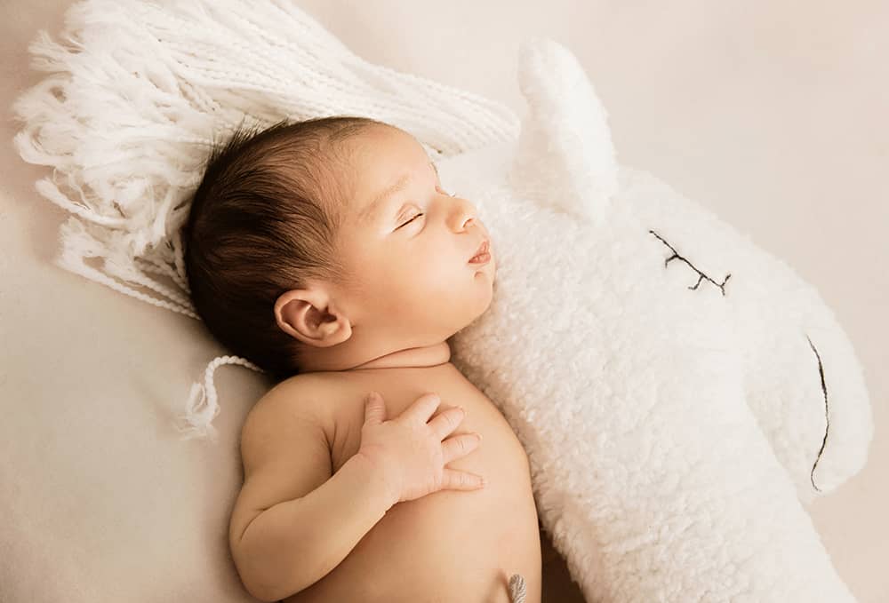babyportrait-newbornshooting-wuppertal portraitbild eines babys das sich an ein Seepferd Plüschtier schmiegt und die Hand auf seine Brust legt in Wuppertal