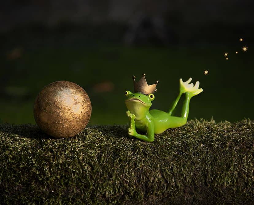 der-verzauberte-Prinz-froschkoenig