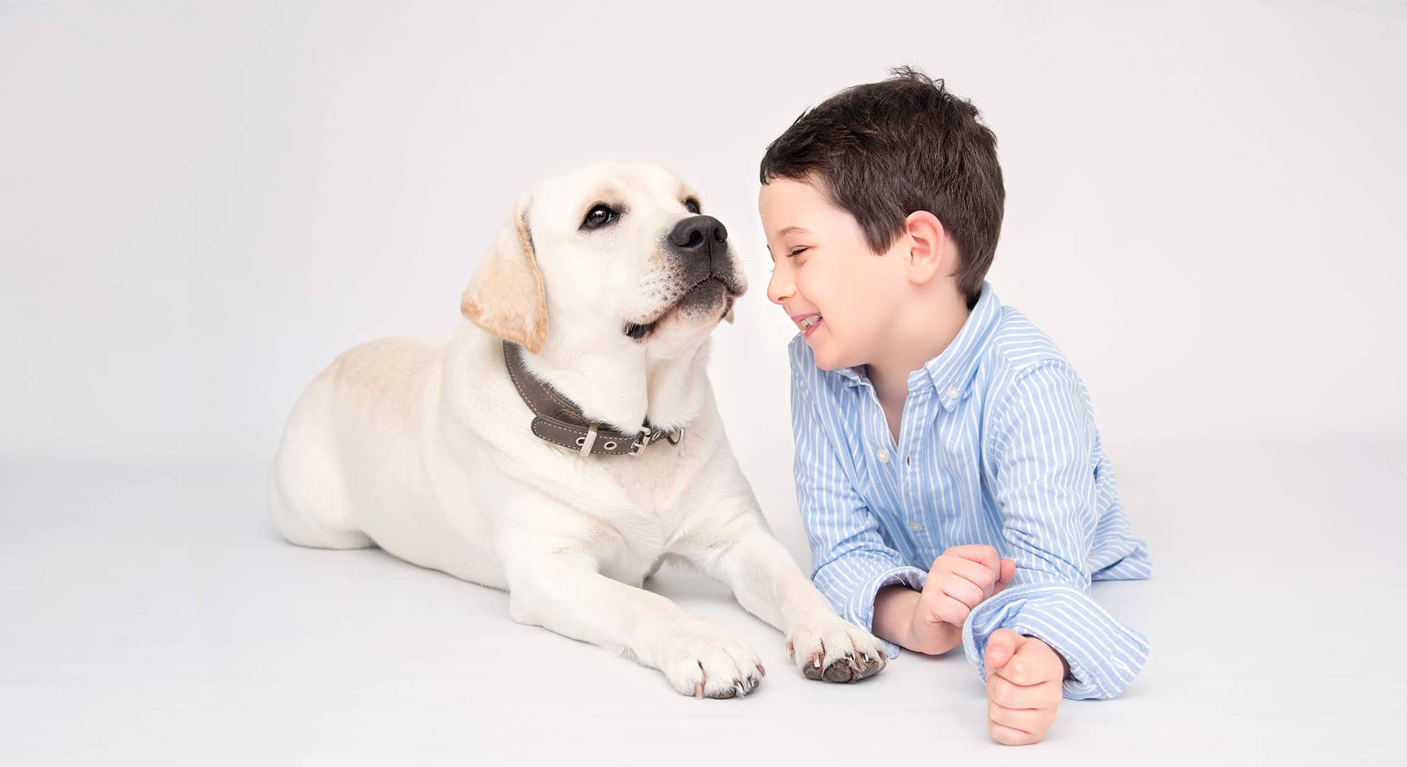 lachender kleiner Junge schmußt mit seinem großen weißem Hund für ein Familienfoto in Wuppertal
