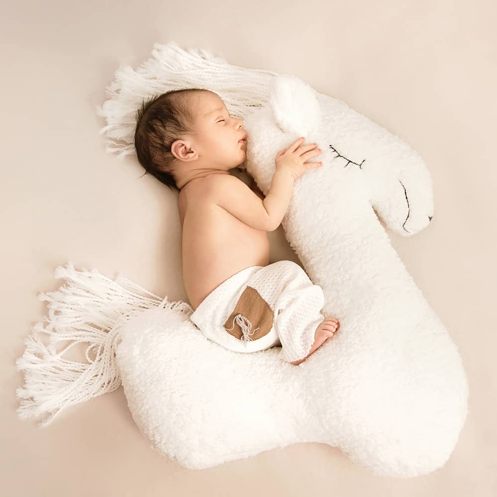 kreative-neugeborenenfotografie-seepferd-baby-wuppertal Baby reitet auf einem plüsch-Seepferd in weiß und hält sich zärtlich am Hals fest bei Neugeborenenfotos vom Profi in Wuppertal